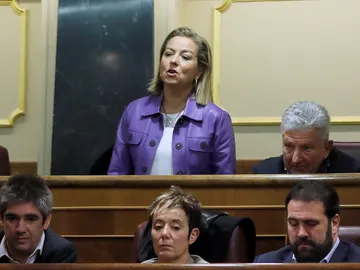 Coalición Canaria ve "muy grave" la discrepancia de Oramas pero pospone las medidas Coalición Canaria ve "muy grave" la discrepancia de Oramas pero pospone las medidas