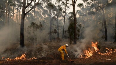 La lluvia en Australia da cierta esperanza para afrontar los incendios que azotan el país 