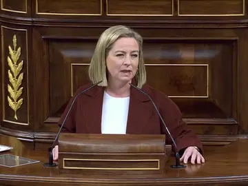 Ana Oramas se mantiene en el 'no' y pide disculpas a Coalición Canaria por cómo cambió su voto "No guardé las formas" Ana Oramas se mantiene en el 'no' y pide disculpas a Coalición Canaria por cómo cambió su voto "No guardé las formas"