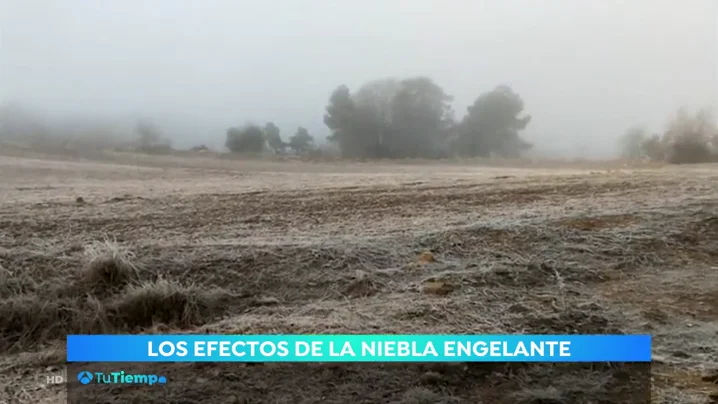 Esta semana se espera tiempo estable en la Pen&iacute;nsula con heladas intensas en Pirineos
