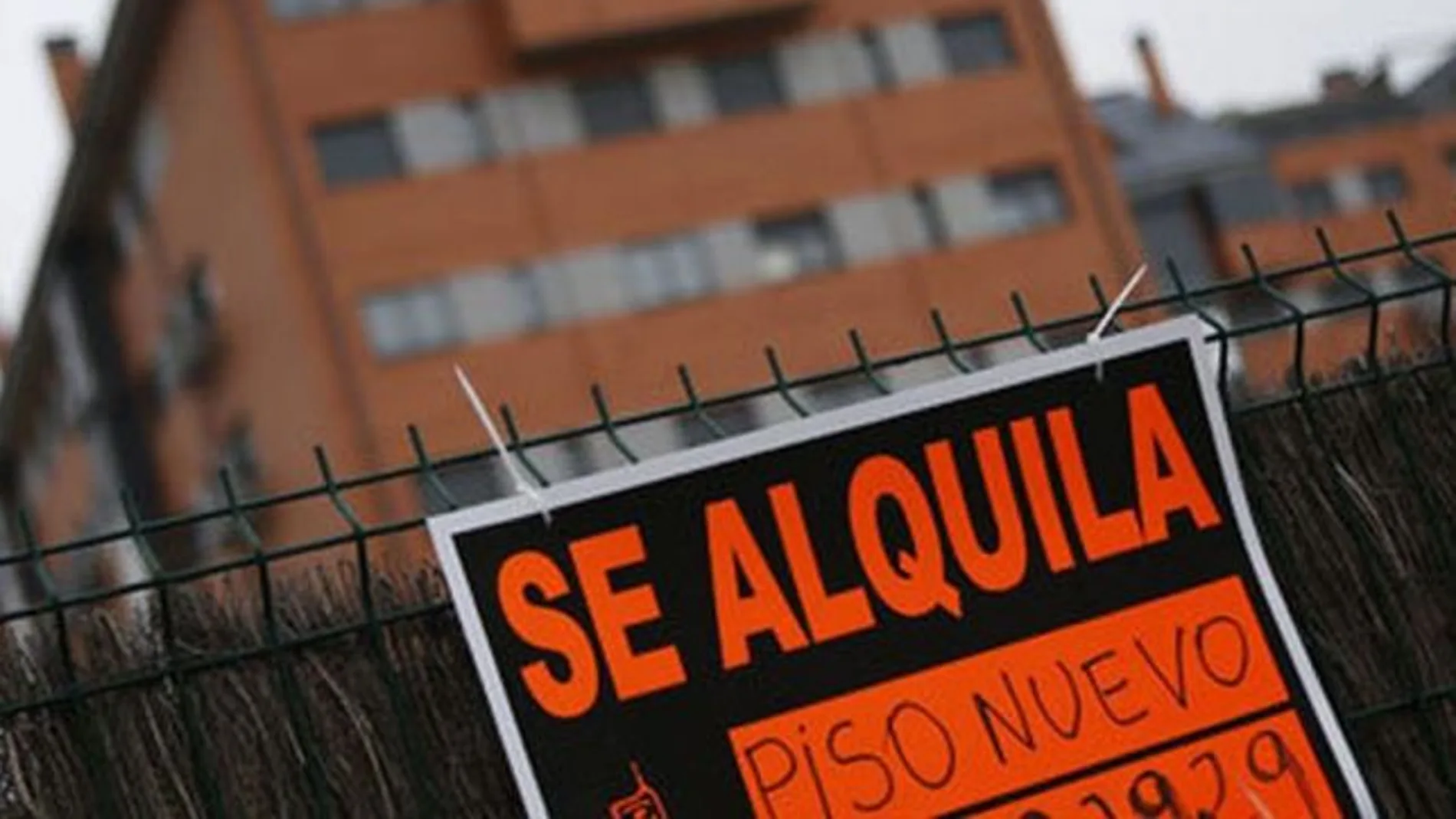 Alquiler de vivienda Alquiler de vivienda