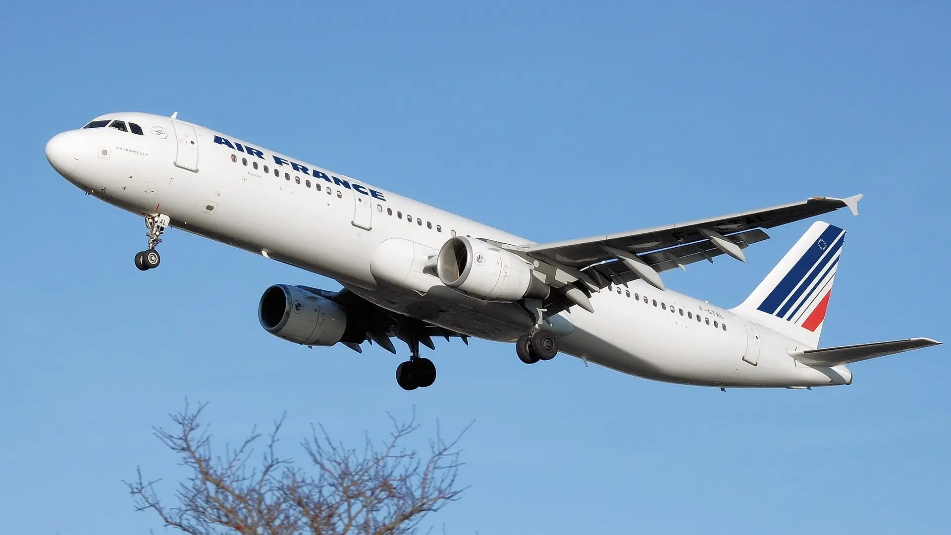 Un avi&oacute;n de Air France