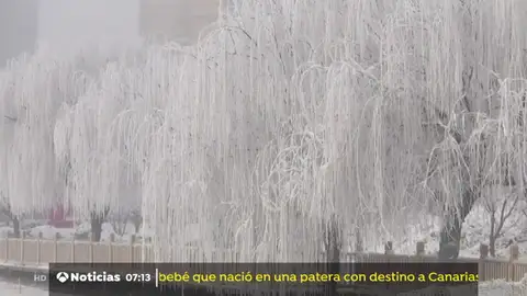 nieve china nieve china