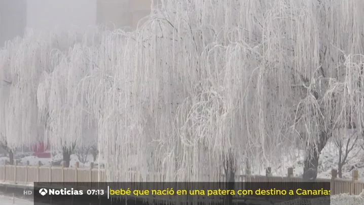 nieve china