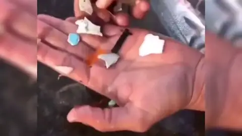 Sacan plástico del estómago de un pez en Tenerife Sacan plástico del estómago de un pez en Tenerife