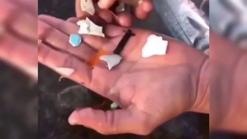 Sacan plástico del estómago de un pez en Tenerife Sacan plástico del estómago de un pez en Tenerife