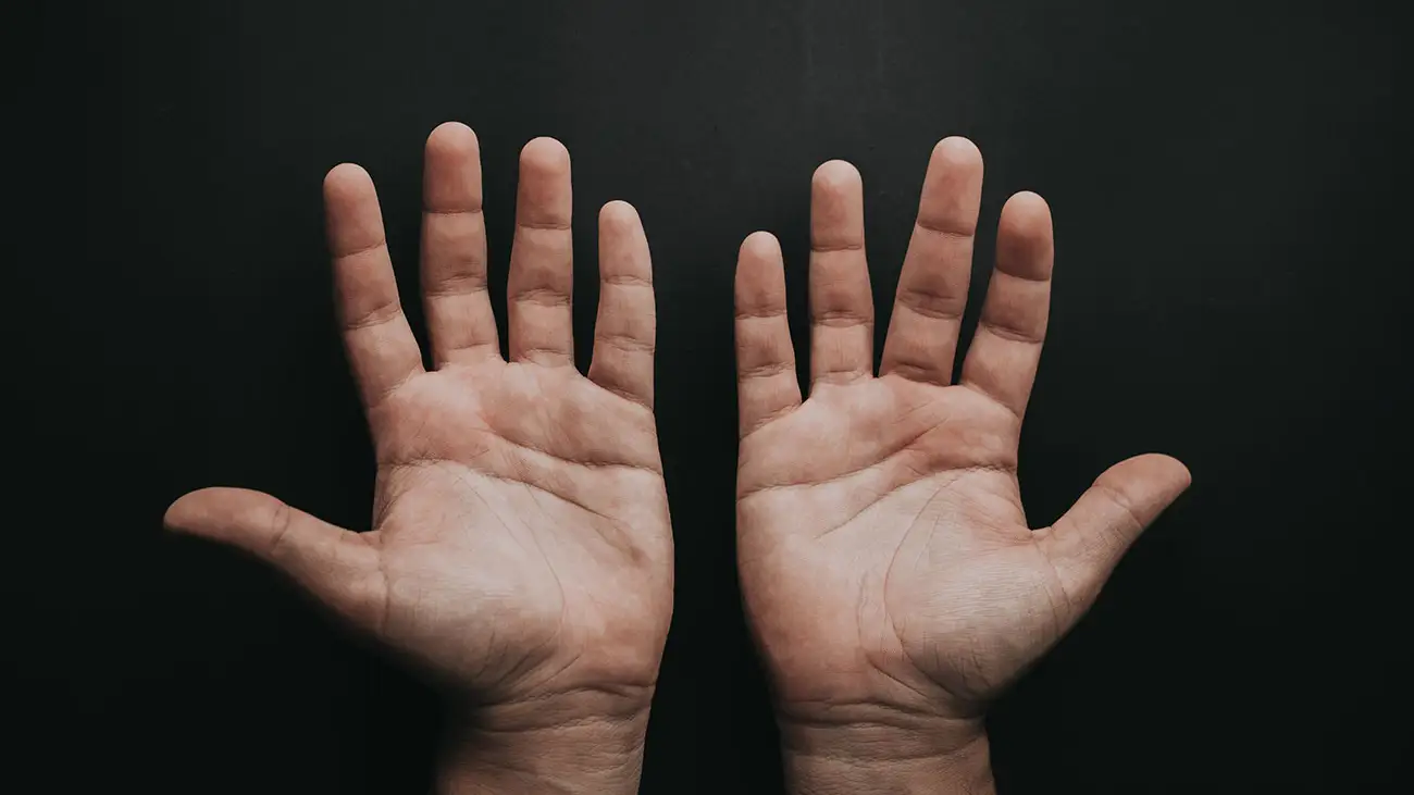 &iquest;Pagaremos con las palmas de la mano?