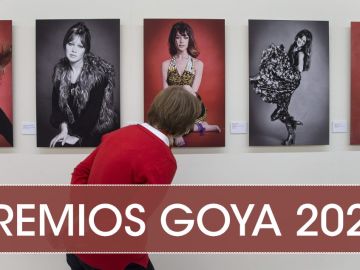 Premios Goya 2020: Cómo disfrutar de la Gala de los Goya si estás en Málaga