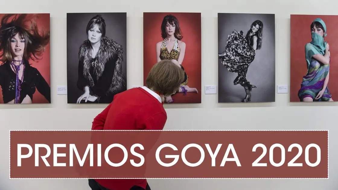 Premios Goya 2020: Cómo disfrutar de la Gala de los Goya si estás en Málaga Premios Goya 2020