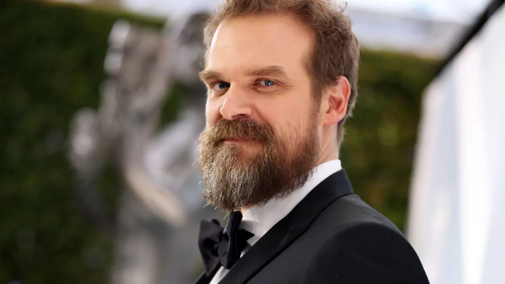 David Harbour David Harbour