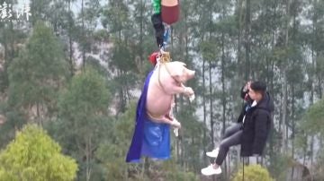 Imagen del cerdo en la atracción china