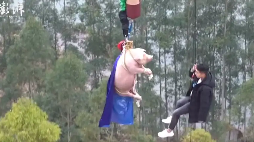 Imagen del cerdo en la atracci&oacute;n china
