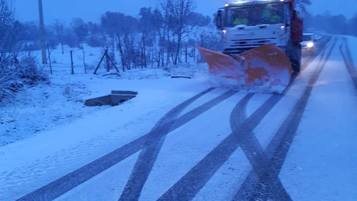 Nieve Segovia Nieve Segovia