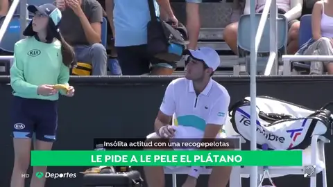 tenistaplatano tenistaplatano