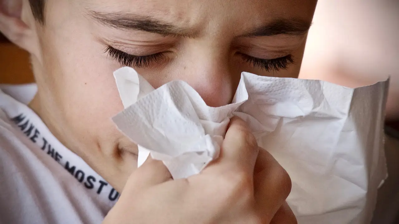 Niño sonándose la nariz Niño sonándose la nariz