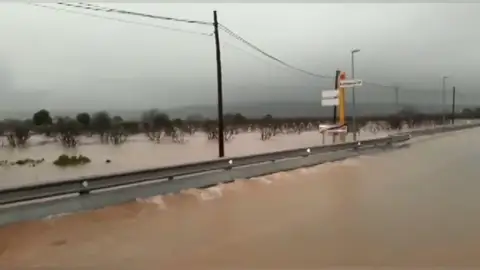 Los ríos se desbordan en Valencia y Alzira alerta del riesgo de inundación en el casco urbano Los ríos se desbordan en Valencia y Alzira alerta del riesgo de inundación en el casco urbano
