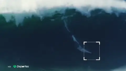 REEMPLAZO SURFISTA REEMPLAZO SURFISTA