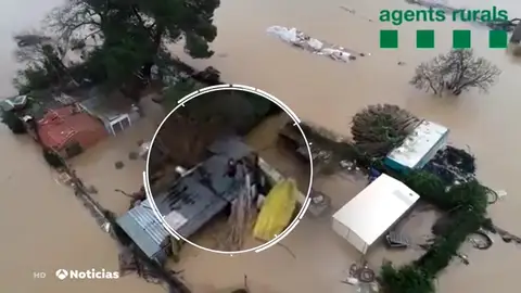 REEMPLAZO rescate REEMPLAZO rescate