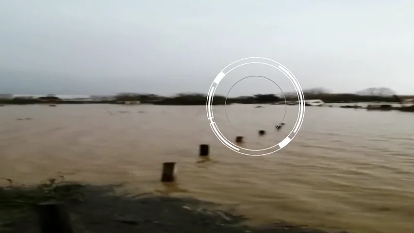 Un joven atraviesa nadando la corriente causada por el temporal 'Gloria' para salvar a su perro atrapado