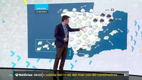 Borrasca 'Gloria' Borrasca 'Gloria'
