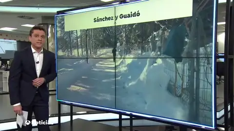 Guaidó, un problema para Sánchez: el presidente no recibirá al venezolano Guaidó, un problema para Sánchez: el presidente no recibirá al venezolano