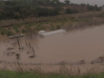 La borrasca 'Gloria' deja fuertes inundaciones y desbordamientos de diversos ríos en Cataluña 