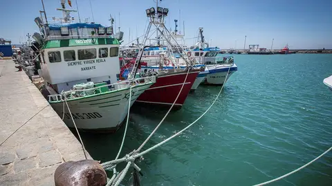Imagen de archivo del Puerto de Barbate Imagen del Puerto de Barbate