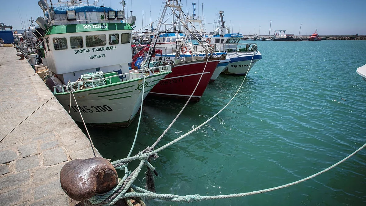 Imagen del Puerto de Barbate