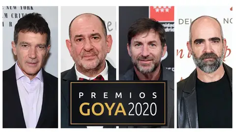 Premios Goya 2020: Nominados a mejor actor protagonista en los Goya Premios Goya 2020