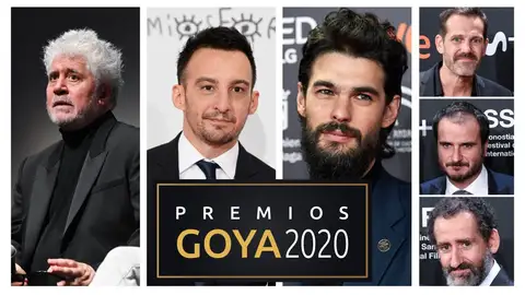 Premios Goya 2020: Nominados a mejor director en los Goya Premios Goya 2020