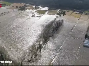 Llamamiento para que los vecinos no salgan de sus casas Llamamiento para que los vecinos no salgan de sus casas