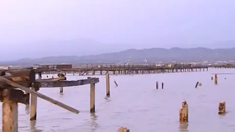 Enormes pérdidas económicas a causa de la borrasca Gloria Enormes pérdidas económicas a causa de la borrasca Gloria