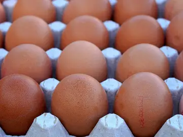 Caja de huevos Caja de huevos