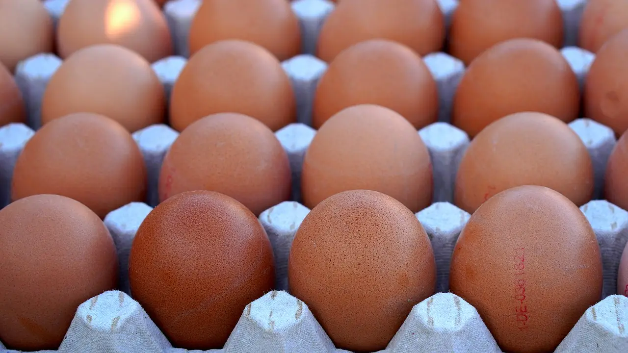 Caja de huevos Caja de huevos