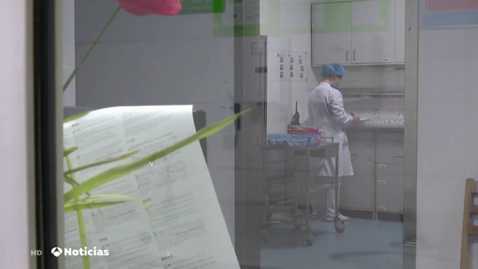 VACUNA VIRUS VACUNA VIRUS