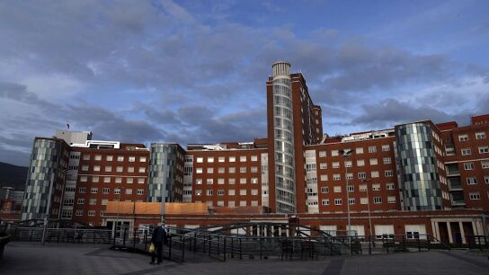Vista general del Hospital de Cruces