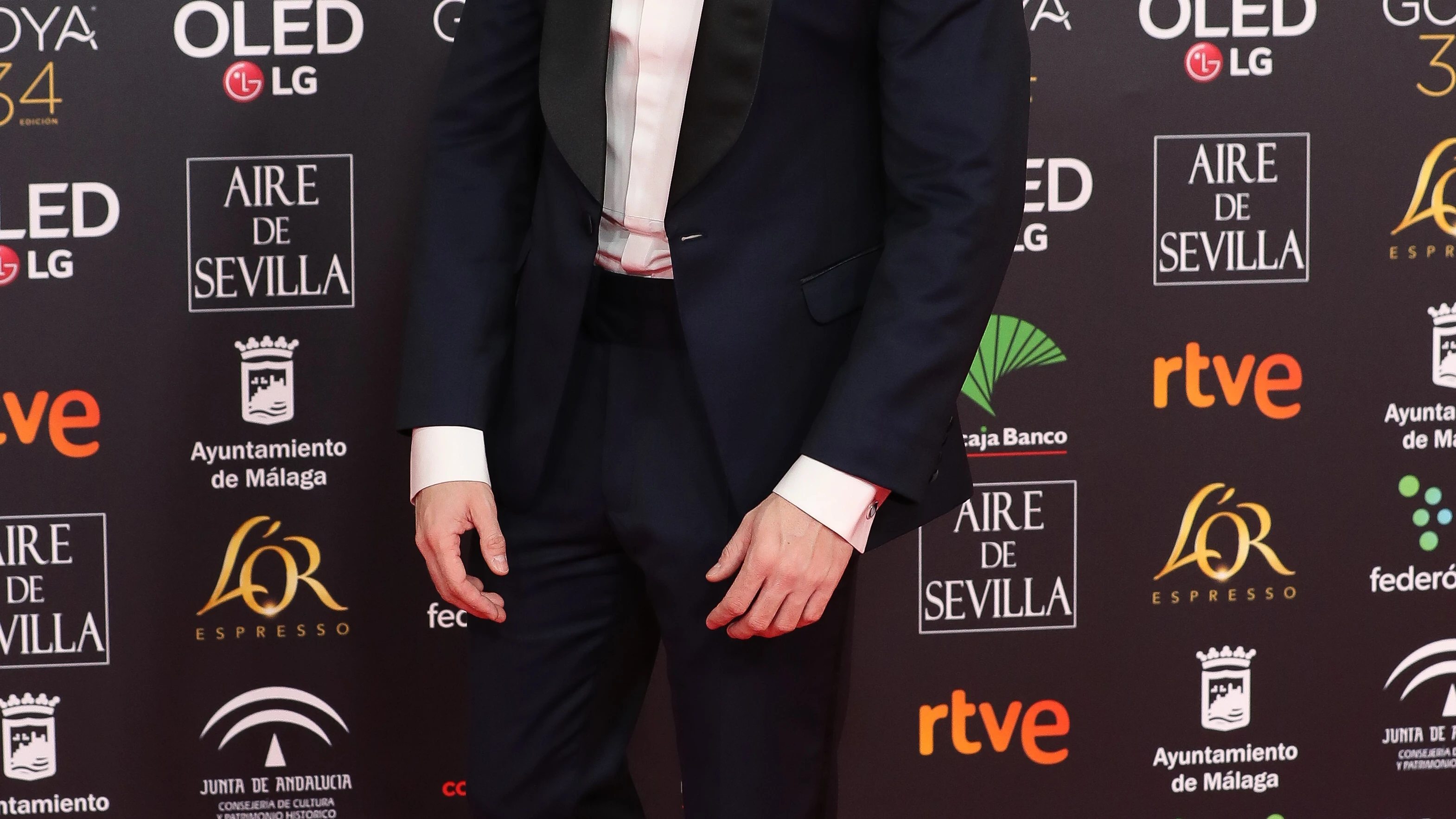 Alfombra roja Premios Goya 2020