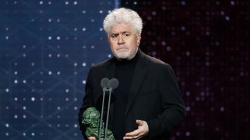 Pedro Almodóvar, Goya al Mejor Guión Original Pedro Almodóvar, Goya al Mejor Guión Original