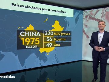 nueva datos