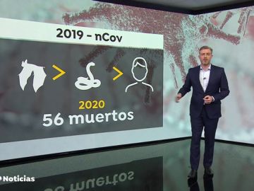 nueva rata
