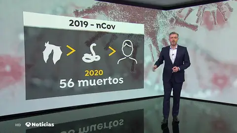 nueva rata nueva rata