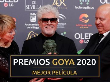 Premios Goya 2020: 'Dolor y Gloria', mejor película de los Goya