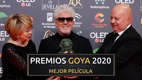 Premios Goya 2020: 'Dolor y Gloria', mejor película de los Goya Premios Goya 2020