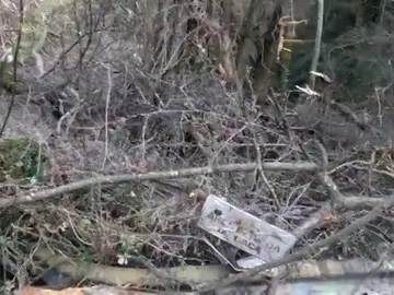 Vecinos de Pineda del Mar limpian la playa porque "es nuestra y es lo mejor que tenemos" Vecinos de Pineda del Mar limpian la playa porque "es nuestra y es lo mejor que tenemos"