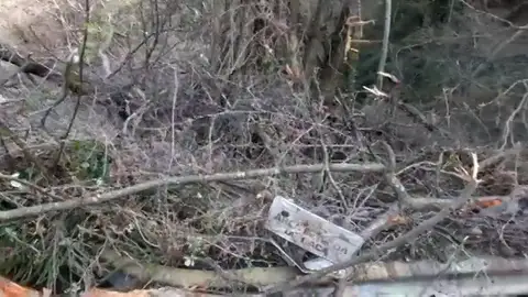 Vecinos de Pineda del Mar limpian la playa porque "es nuestra y es lo mejor que tenemos" Vecinos de Pineda del Mar limpian la playa porque "es nuestra y es lo mejor que tenemos"