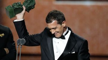 Antonio Banderas con su Goya a Mejor Actor por 'Dolor y gloria' Antonio Banderas con su Goya a Mejor Actor por 'Dolor y gloria'