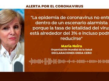 María Neira, de la OMS: "No hay razón para alarmarse por el coronavirus en España"