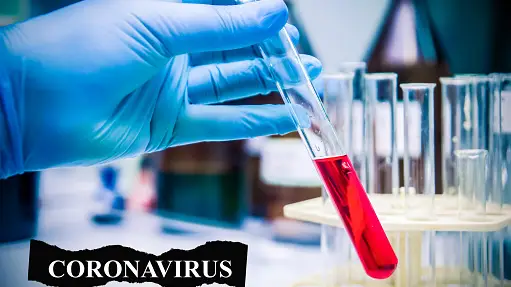 Teor&iacute;as coronavirus