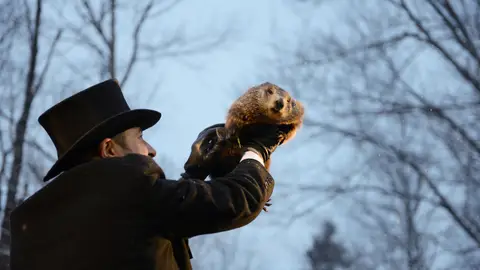 La marmota Phil en el Día de la Marmota La marmota Phil en el Día de la Marmota