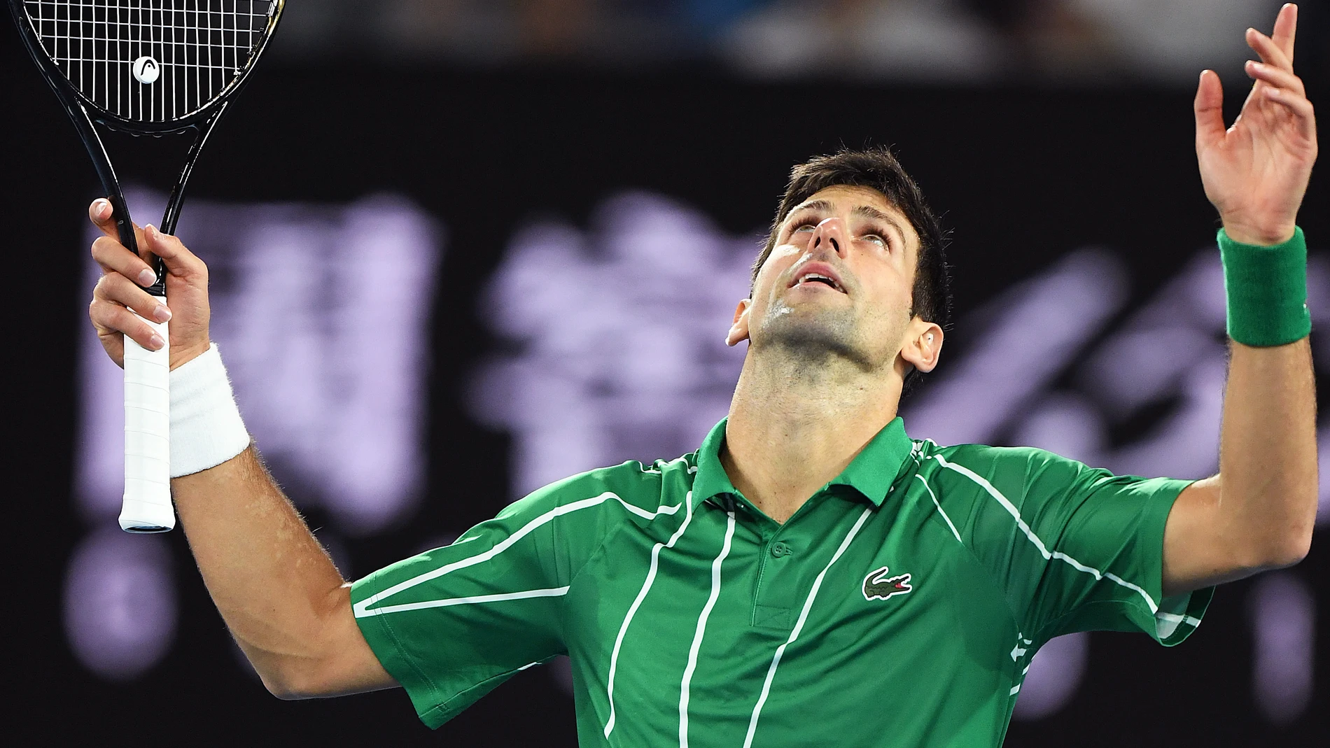 Djokovic celebra un punto ante Thiem Djokovic celebra un punto ante Thiem